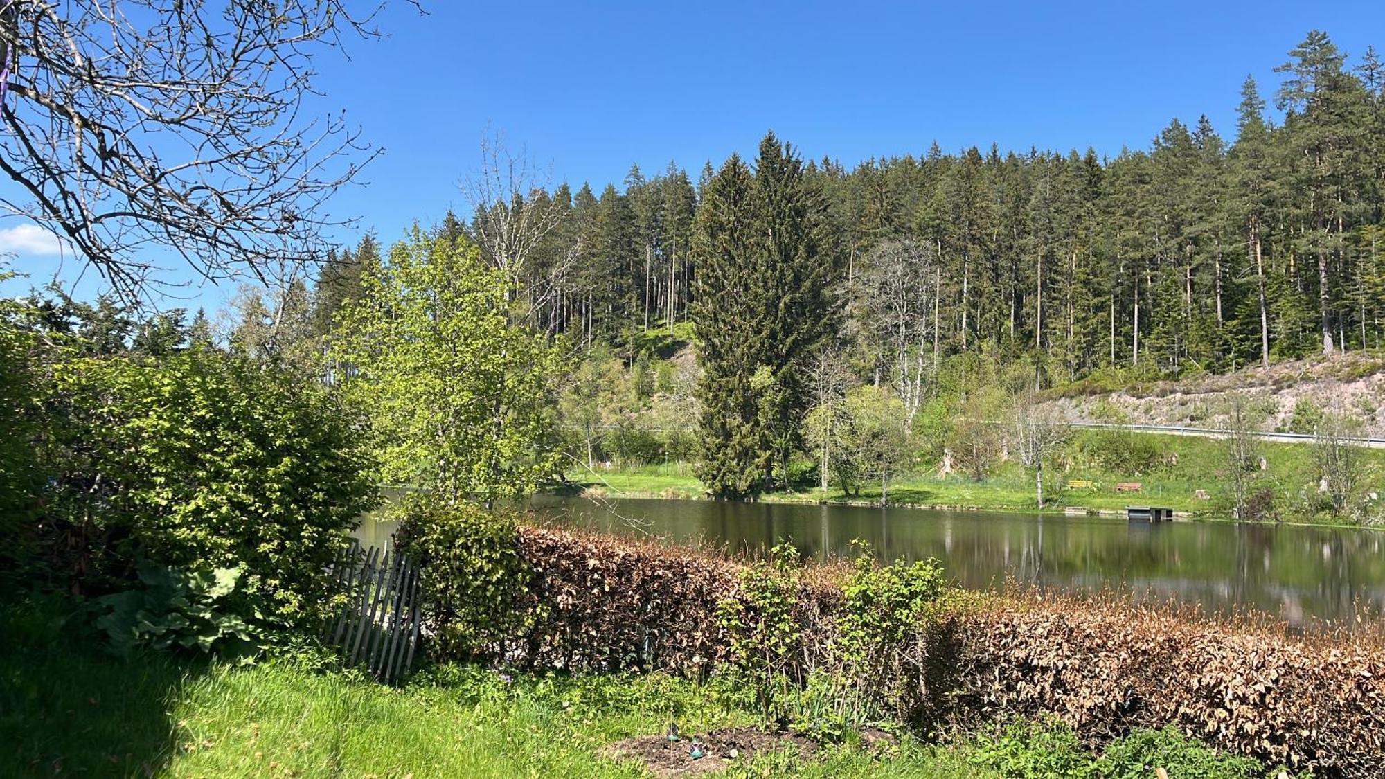 Haus Am See - Natur Pur Friedenweiler Exteriér fotografie