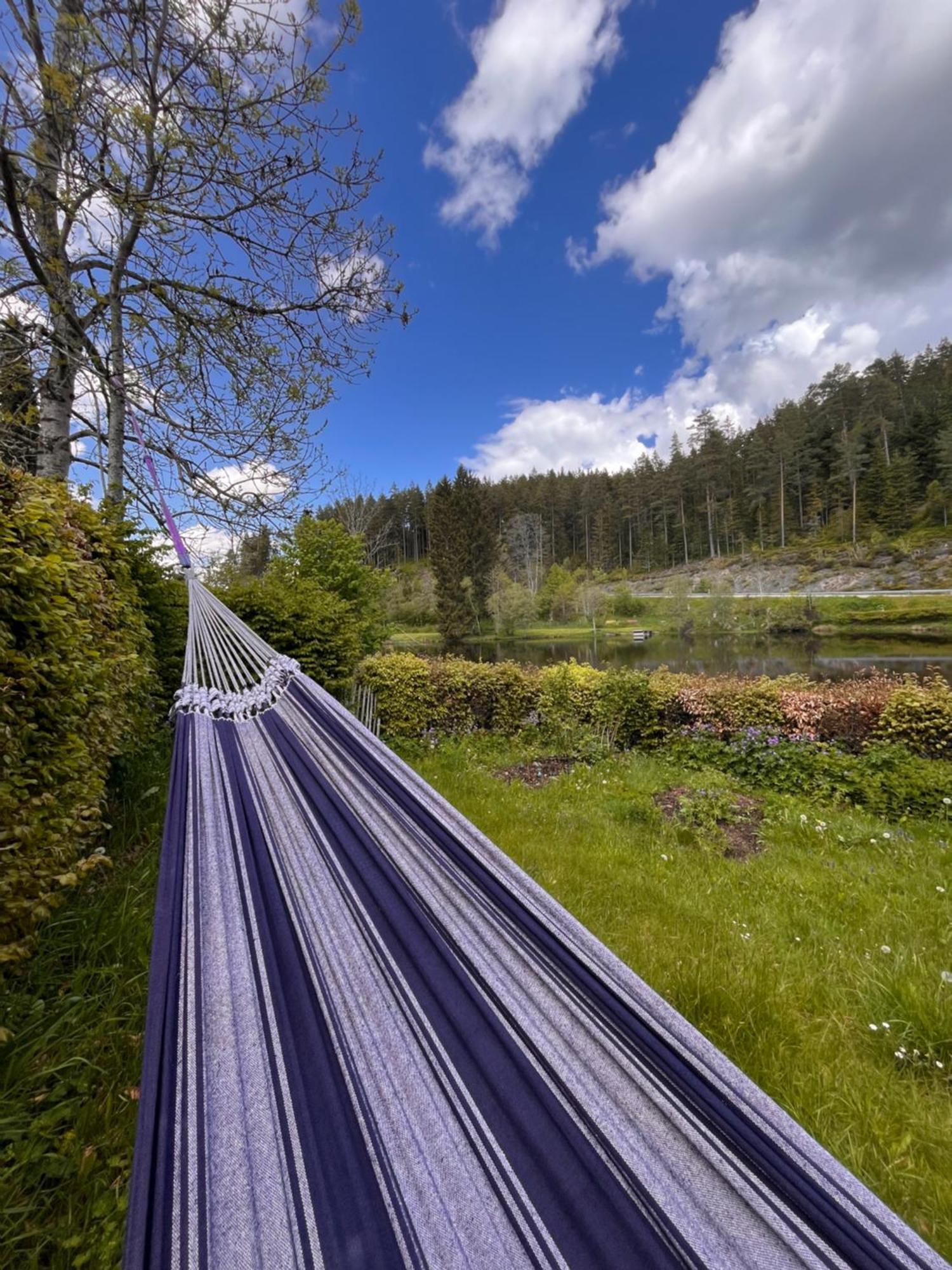 Haus Am See - Natur Pur Friedenweiler Exteriér fotografie
