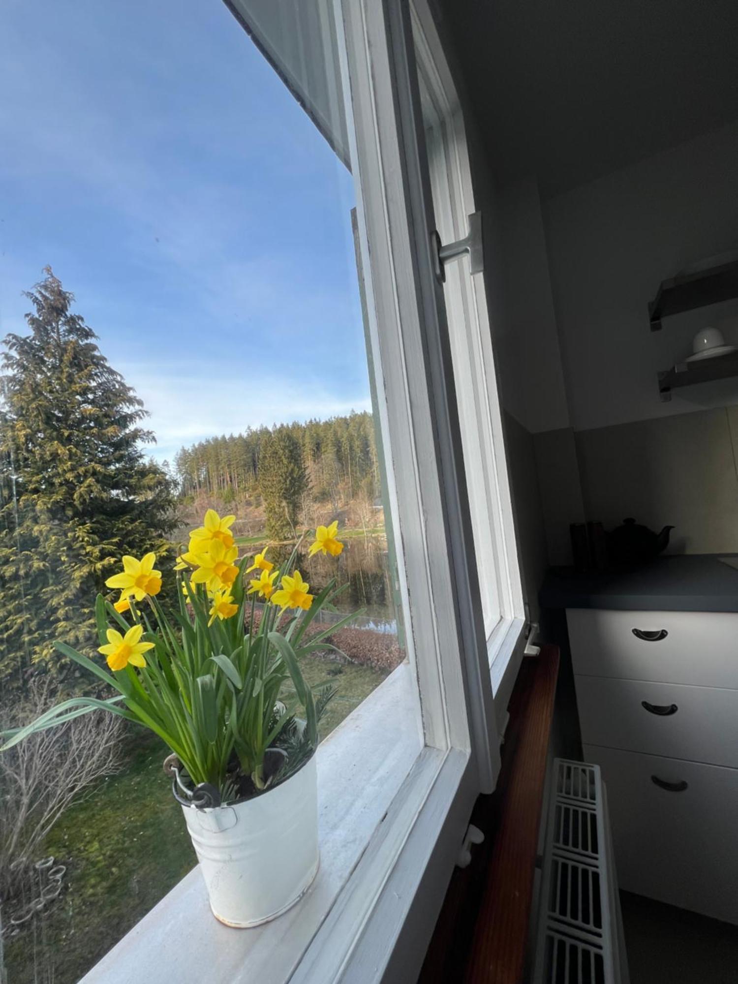 Haus Am See - Natur Pur Friedenweiler Exteriér fotografie
