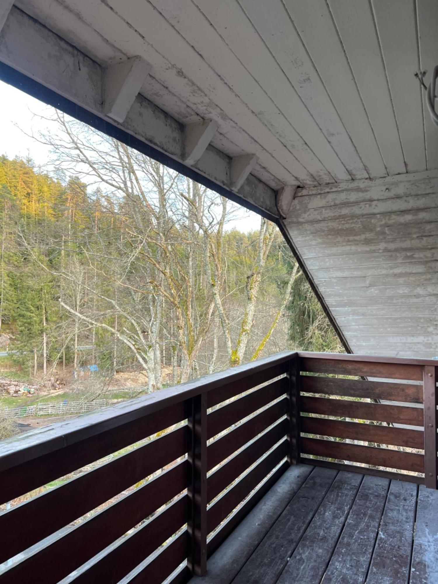 Haus Am See - Natur Pur Friedenweiler Exteriér fotografie
