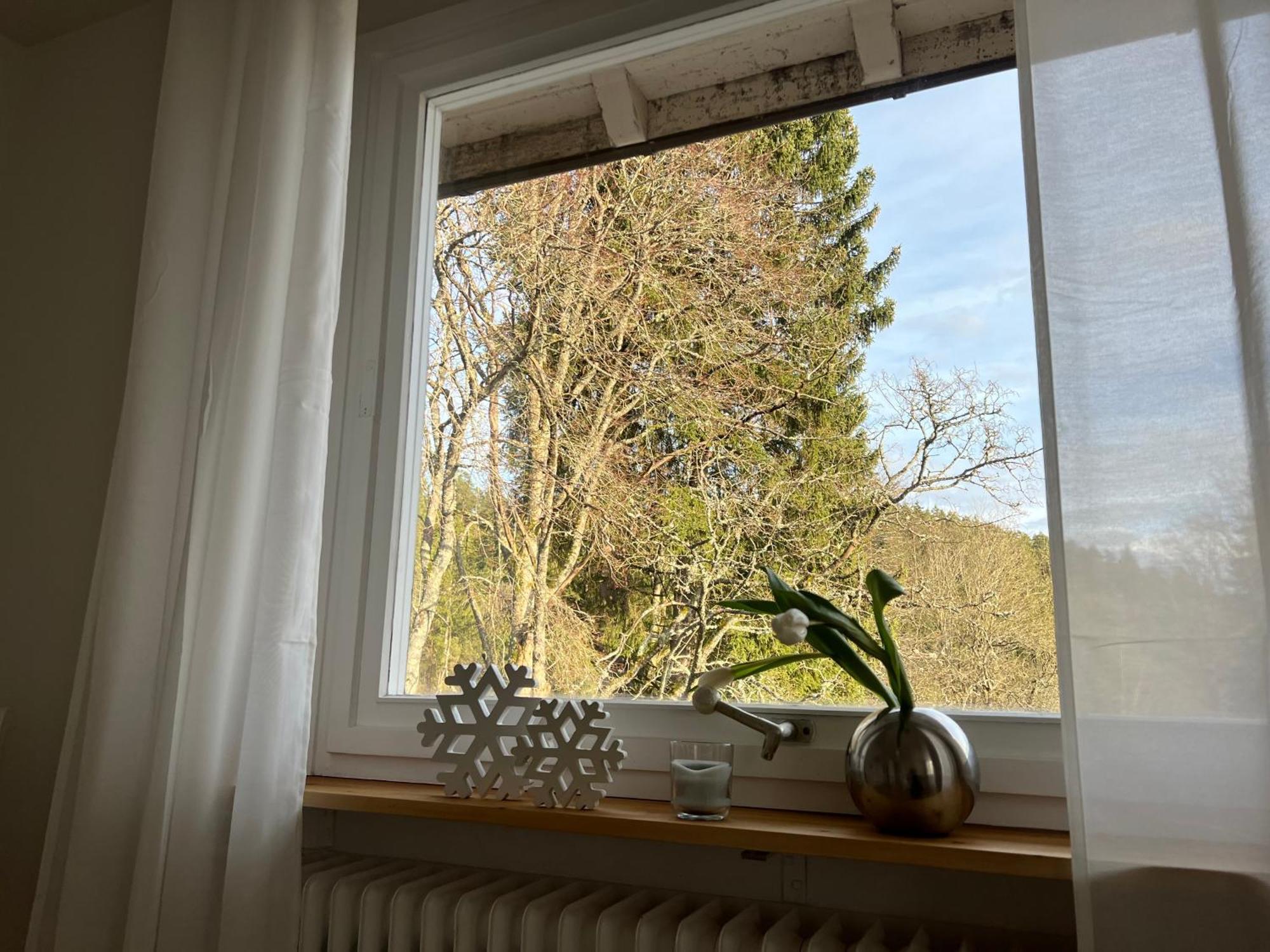 Haus Am See - Natur Pur Friedenweiler Exteriér fotografie