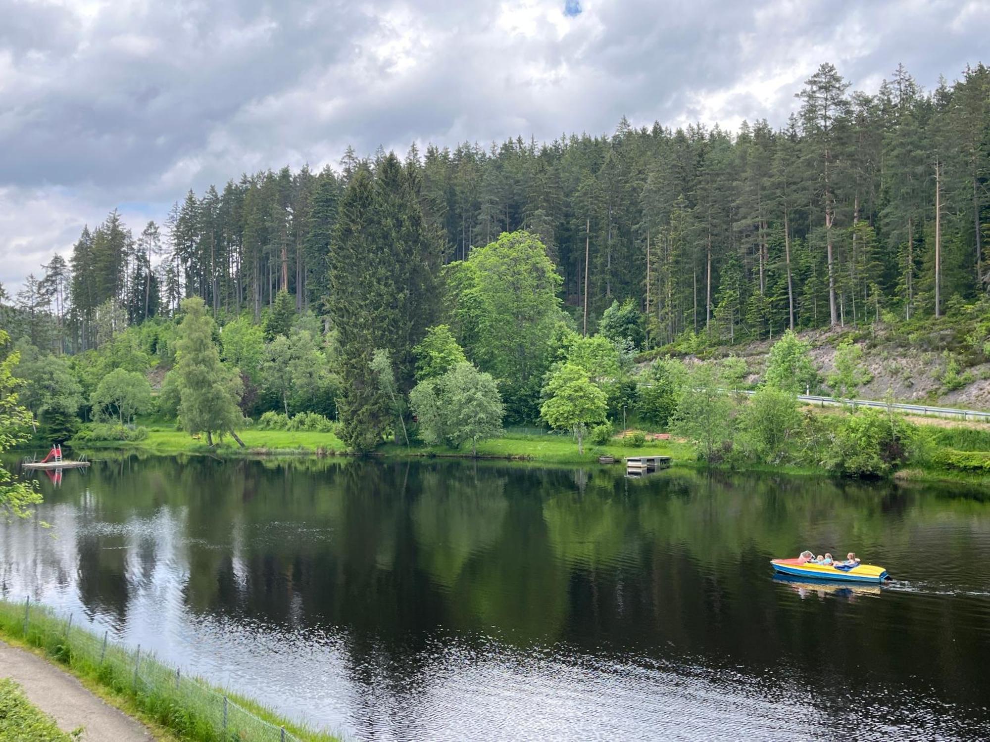 Haus Am See - Natur Pur Friedenweiler Exteriér fotografie