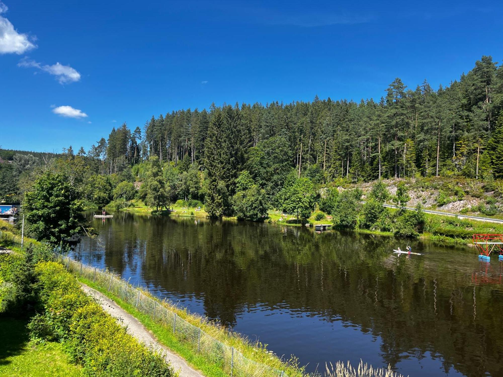 Haus Am See - Natur Pur Friedenweiler Exteriér fotografie