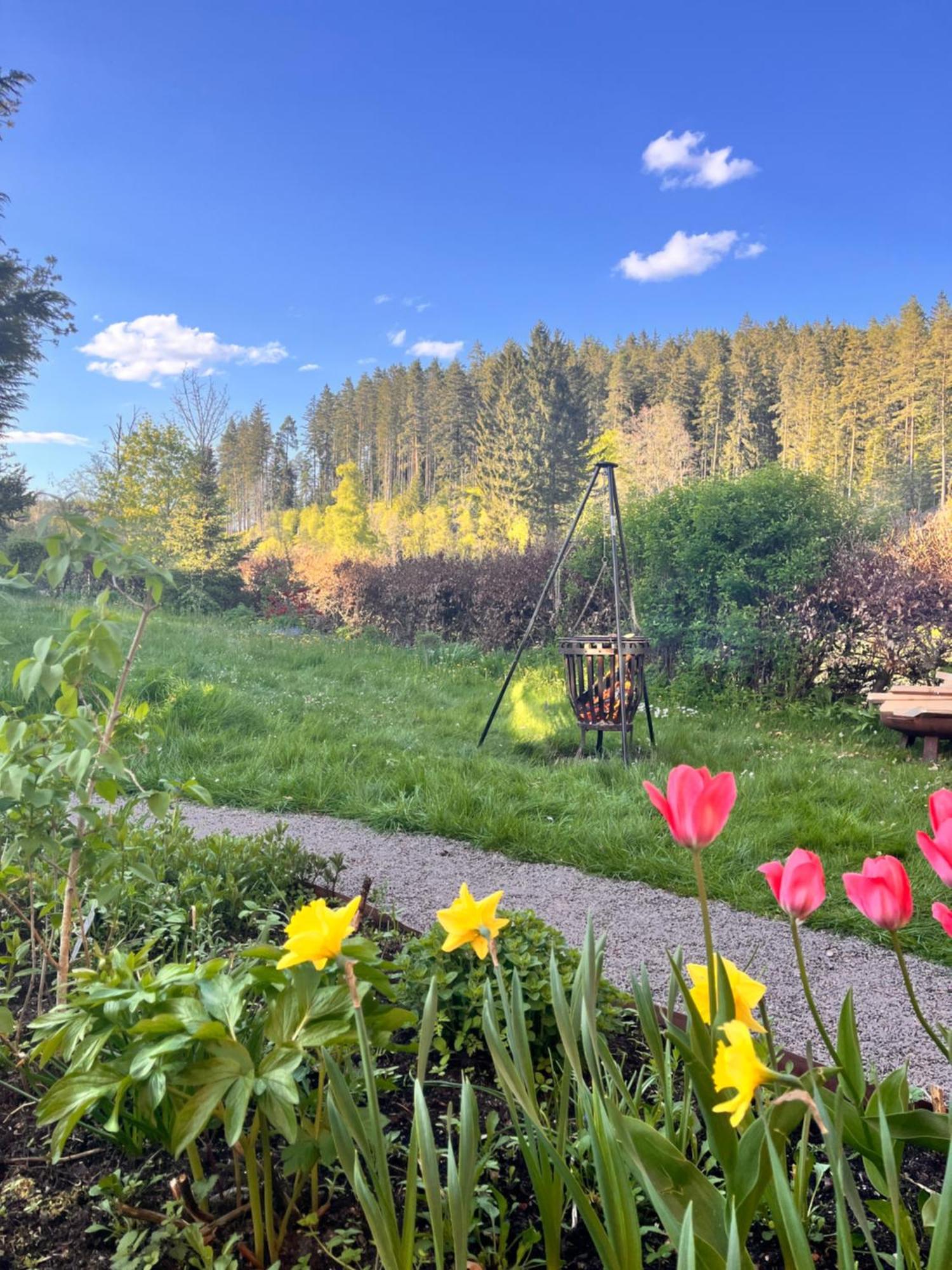 Haus Am See - Natur Pur Friedenweiler Exteriér fotografie