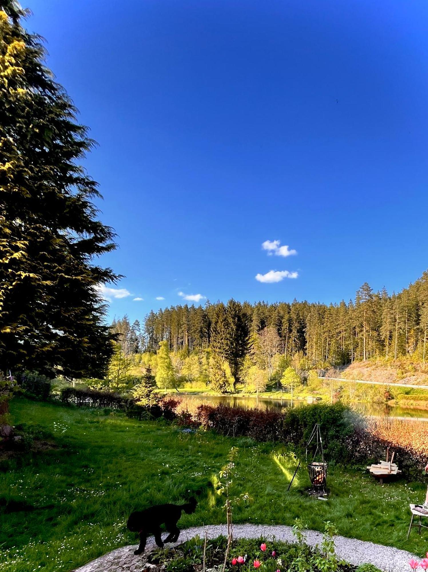 Haus Am See - Natur Pur Friedenweiler Exteriér fotografie